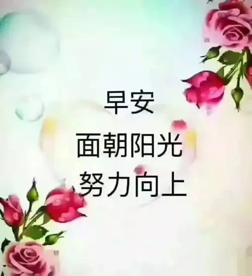 持续地努力,不懈地奋斗