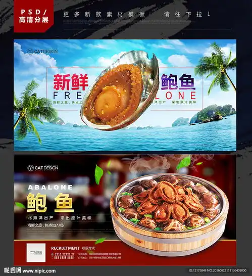 鲍鱼设计图