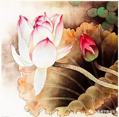 阿斯陀仙人见到菩萨后,为何伤心哭泣