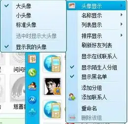 要显示我的头像怎么弄