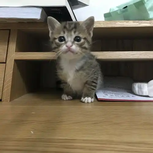 我的收藏