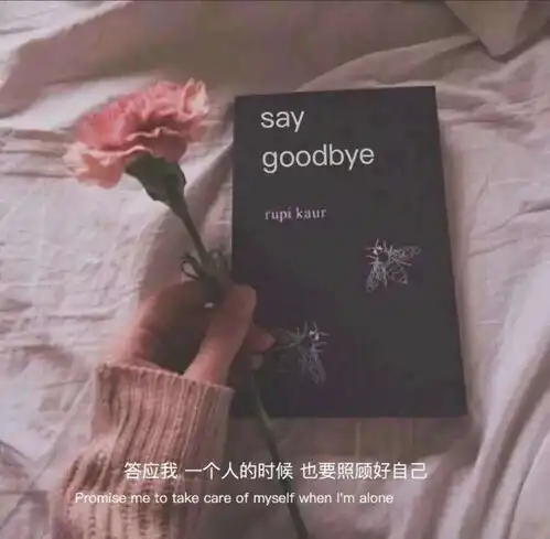 适合做微信状态的小众文案