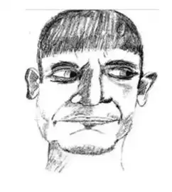 城区网警丨爆笑来袭史上最拙劣嫌犯画像也能破案