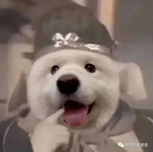一看就像脑子有病的文案