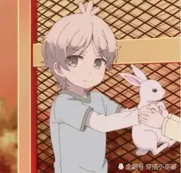 2019超高糖情侣头像,现在流行吃猫粮,虐到发齁