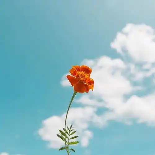 测试一个超长简介的文章