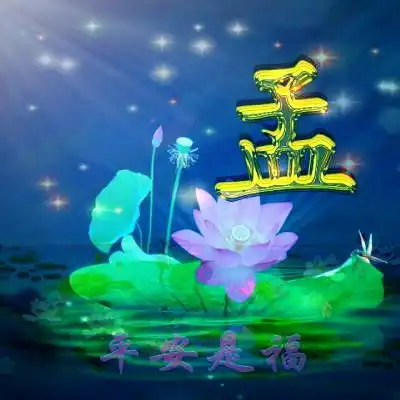 微信最吉利的好看头像,平安是福莲花主题姓氏微信头像图片