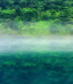 纯音乐微凉森林雨寂静的清欢,隐秘的期待