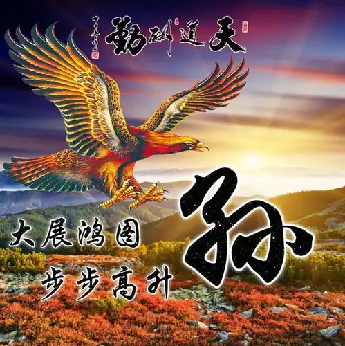微信头像,天道酬勤雄鹰展翅励志姓氏头像,天高地阔任我翔