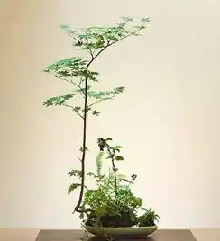 测试一个超长简介的文章