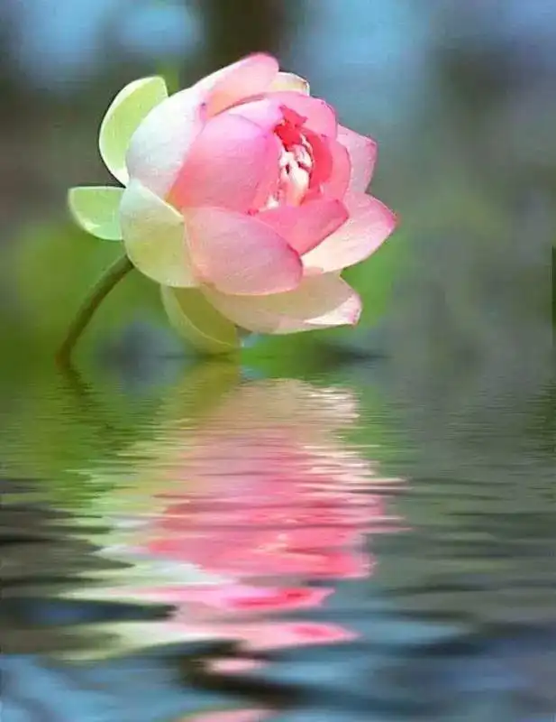测试一个超长简介的文章