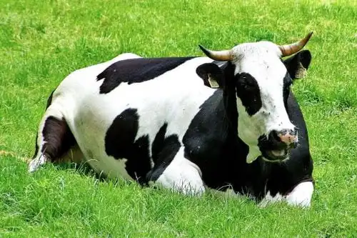 家中若有这3个生肖,2022年必当老天眷顾,福禄双全,心想事成