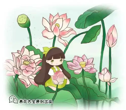 炎炎夏日,莲花的美景别错过,送你一池清凉