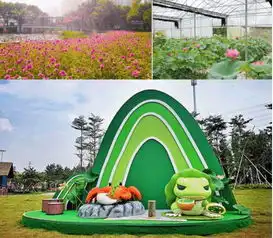 49.9元1大1小三水荷花奇境魔法空间赏花机动游戏,元旦出行,拒绝塞车