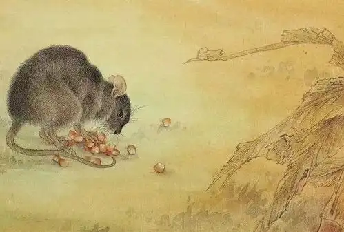 生肖鼠,3月要关照一个人,是贵人相助