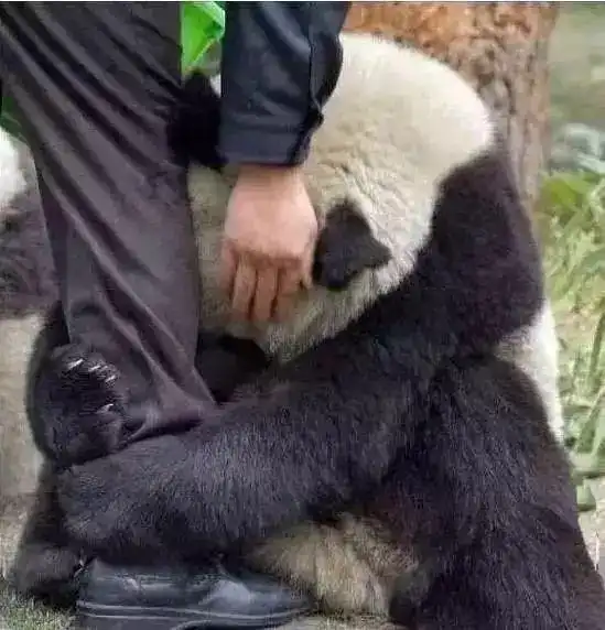 25张人性与爱的照片,看完第一张我就脸红了
