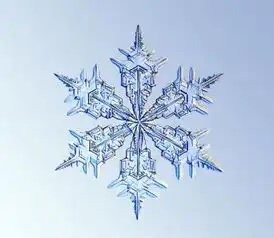 怎一个美字了得美国科学家带你圣诞看雪花