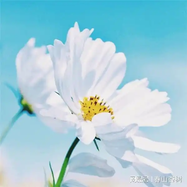 lumion破解版下载安装lumion三维可视化软件下载