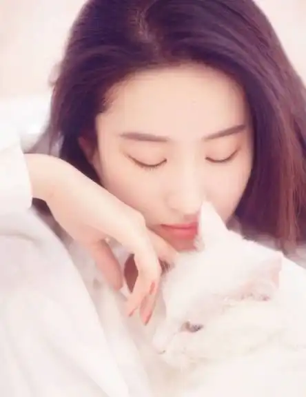 刘亦菲清新大片,猫咪和慵懒的女神一起沐浴阳光,美到不可思议