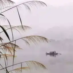 乌篷船,一袭烟雨枕江南