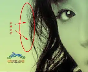 详解photoshop抽出滤镜为图片换背景的技巧