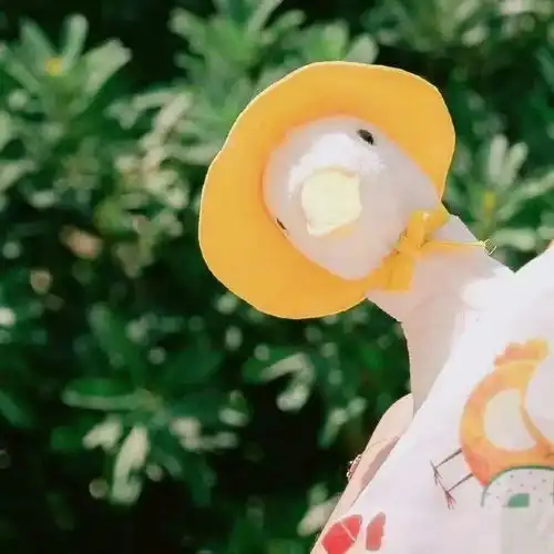 有什么好看的卡通母女头像