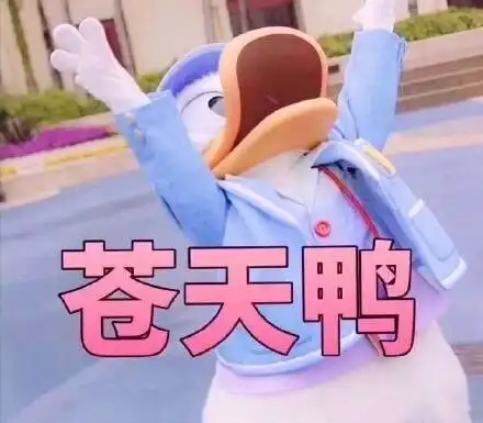 如果你要在机场中转10个小时,你会干些什么