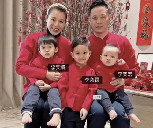 网友爆料胡杏儿的两个儿子双双被感染,胡杏儿直面回应