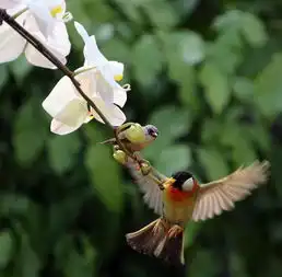 测试一个超长简介的文章