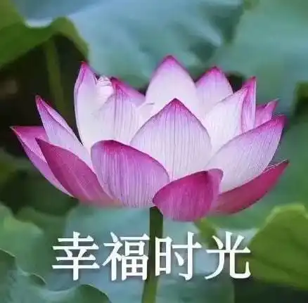 相伴入眠,床头的智能小精灵