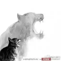 牛汇外汇交易当你没有什么选择时最好放手一..