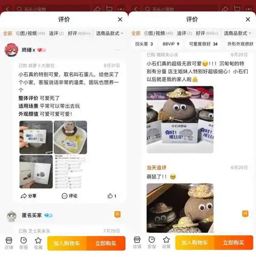 99后女生在淘宝开店卖宠物石头月入一万每只石头都有自己的身份证和mbti