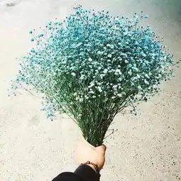 只想写一些简简单单的没有任何功利心的文字