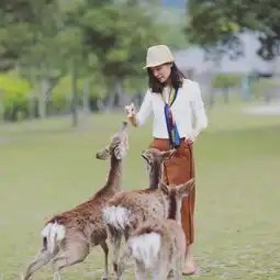 一泊二食行摄关西