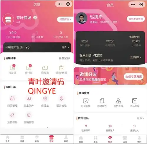 小店经济迎历史性发展机遇,青叶赋能小店电商转型
