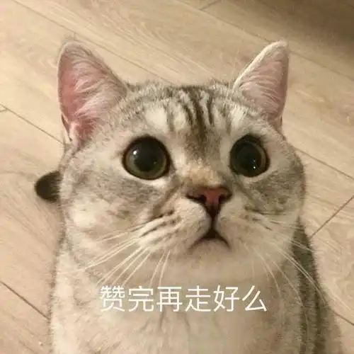 奇闻异事