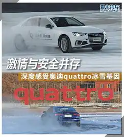 激情安全并存感受奥迪quattro冰雪基因