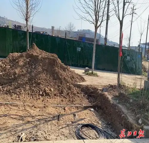 青山一工地砍树12棵罚款15万,还得补植树木