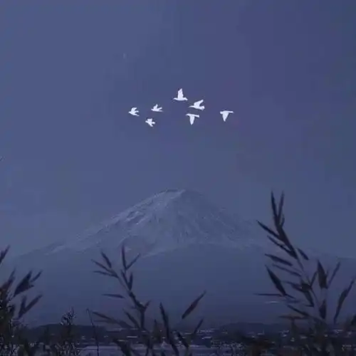 测试一个超长简介的文章