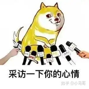中国超2亿人单身单身时代来临,我们决定不结婚了