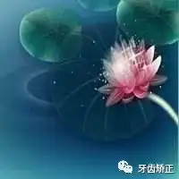 郴州牙齿矫正真的可以减肥吗