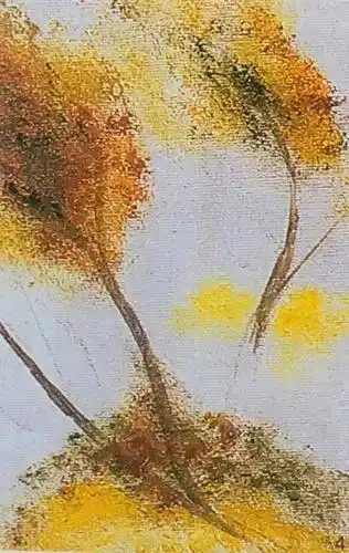 测试一个超长简介的文章