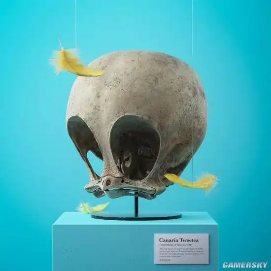 3d艺术家创作的卡通人物头骨化石