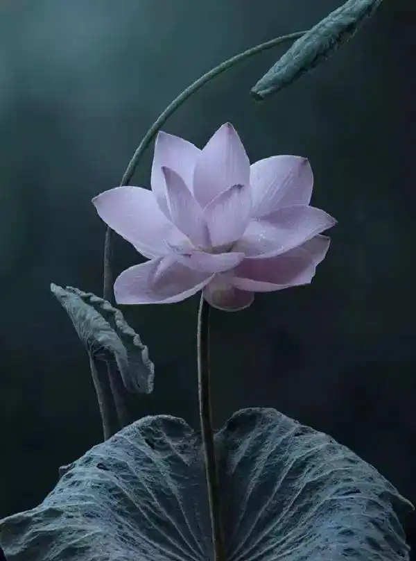 人生十二德,句句是良言