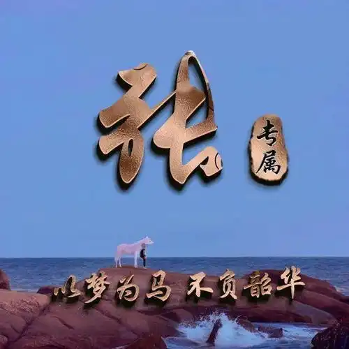 39张姓氏头像以梦为马,不负韶华,暖心励志
