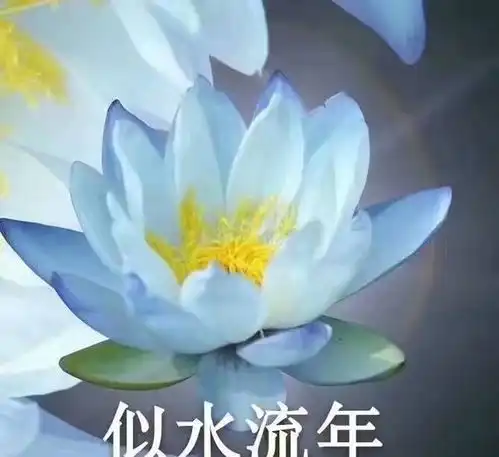 新学期,请老师们一定做好这三件事,享受安静教书生活