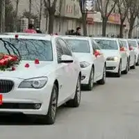 婚车车队头像结婚婚车车队头像
