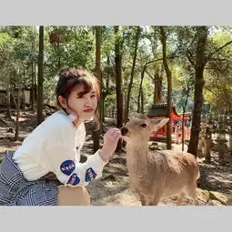 玩不够的日本,从关东到关西大阪篇
