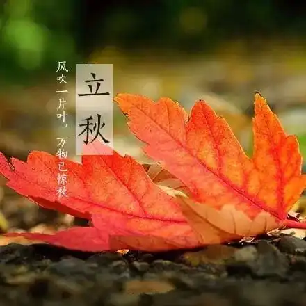 秋分时节适合哪些蔬菜水果