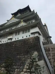 日本8日游d1到日本d2东大寺神鹿公园大阪城道顿掘心斋桥